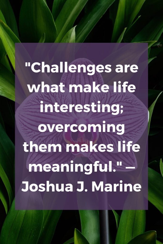 our challenges