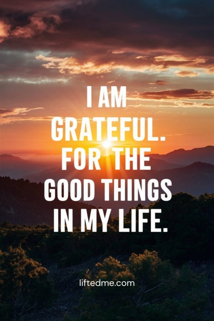 I am grateful for the good things in my life